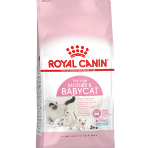 Royal Canin Kitten Dry Food 3 lb bag